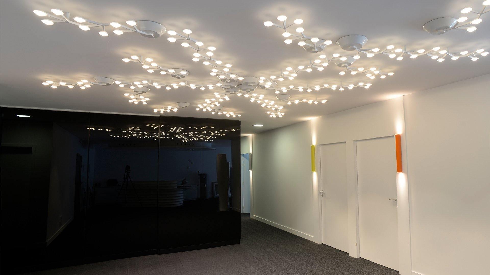 LED Net Ceiling Wall Lamp - Vakkerlight