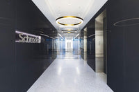 Ring LED Pendant Light - Vakkerlight