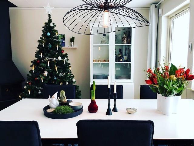 Ray Metal Pendant Light - Vakkerlight