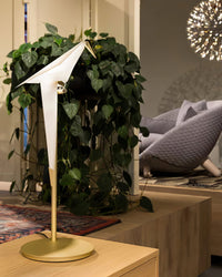 Vakker Limited