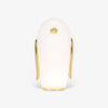 Pet Desk Light