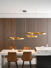 Ring LED Pendant Light - Vakkerlight