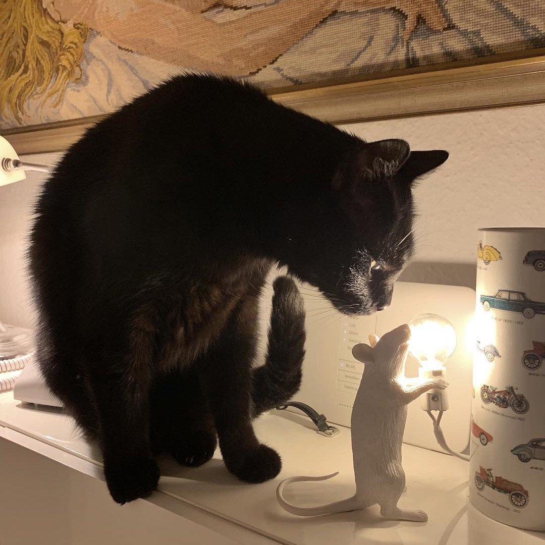 Mouse Table Light - Vakkerlight